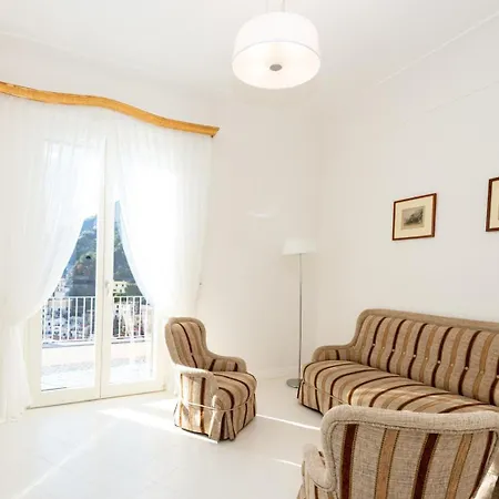 Domi By My Collection